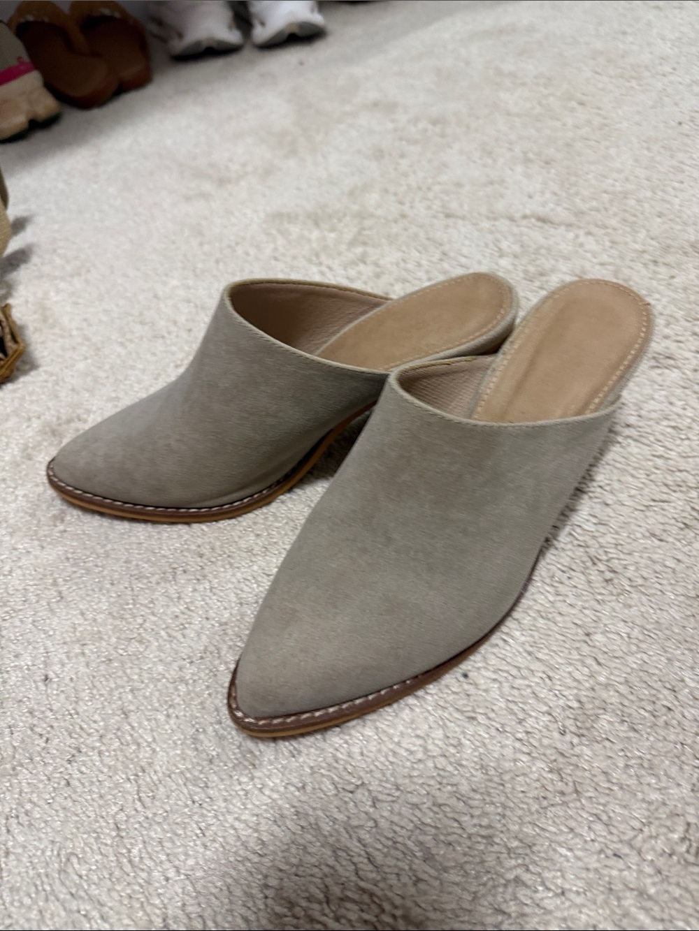 Neutral Taupe Suede Pointed-Toe Mule - Women